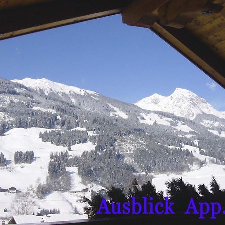Gaestehaus Alpina Дорфгаштайн Экстерьер фото