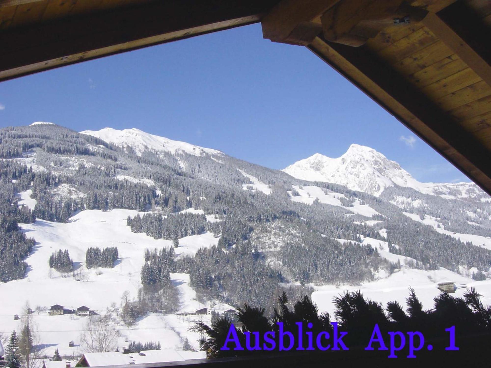 Gaestehaus Alpina Дорфгаштайн Экстерьер фото