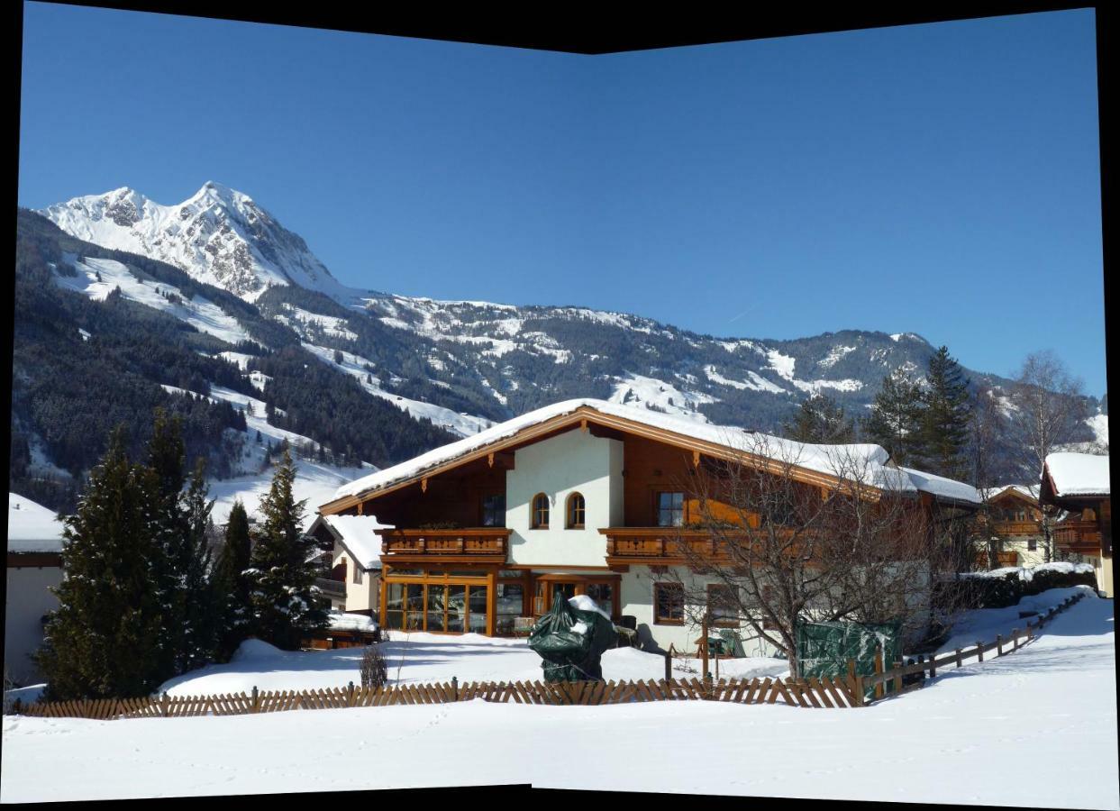 Gaestehaus Alpina Дорфгаштайн Экстерьер фото