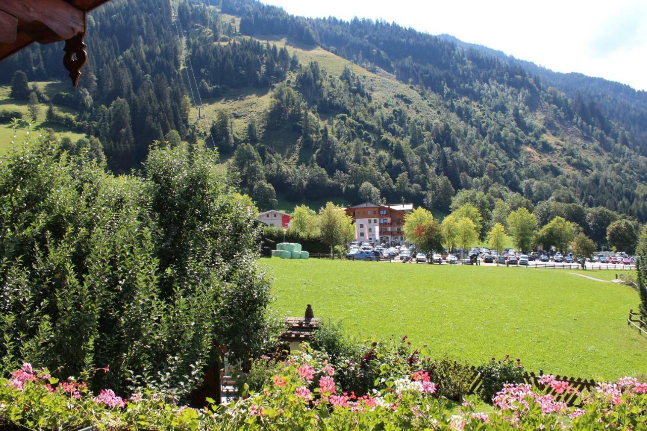 Gaestehaus Alpina Дорфгаштайн Экстерьер фото